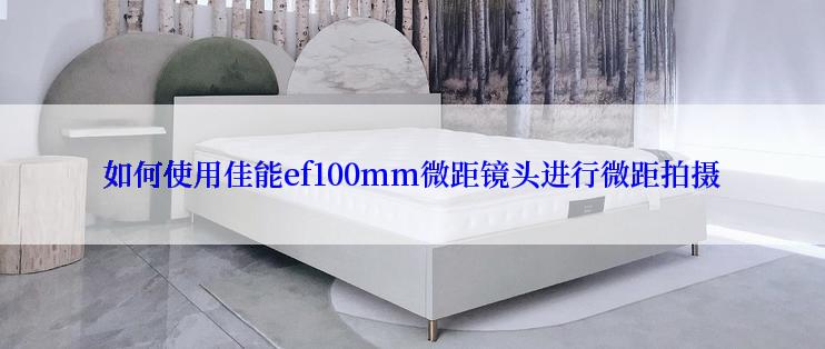 如何使用佳能ef100mm微距镜头进行微距拍摄