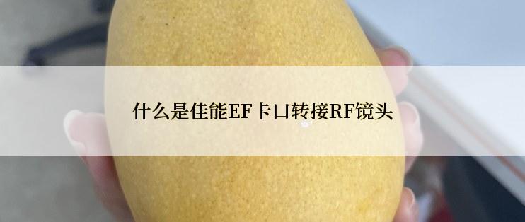 什么是佳能EF卡口转接RF镜头