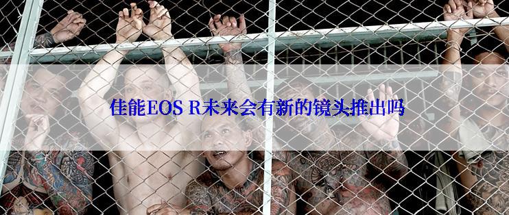  佳能EOS R未来会有新的镜头推出吗