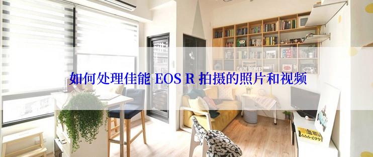  如何处理佳能 EOS R 拍摄的照片和视频