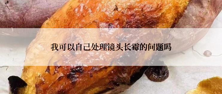 我可以自己处理镜头长霉的问题吗