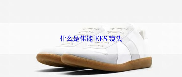 什么是佳能 EFS 镜头