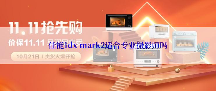 佳能1dx mark2适合专业摄影师吗