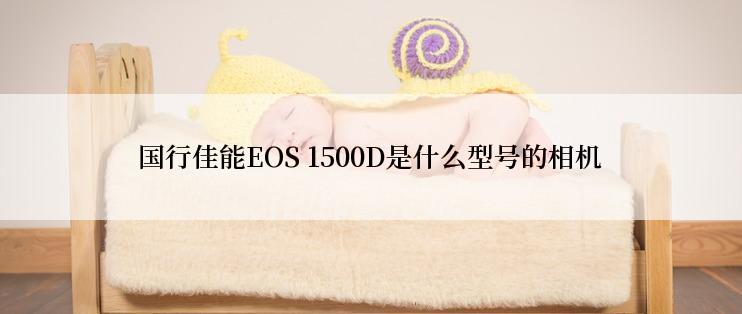 国行佳能EOS 1500D是什么型号的相机