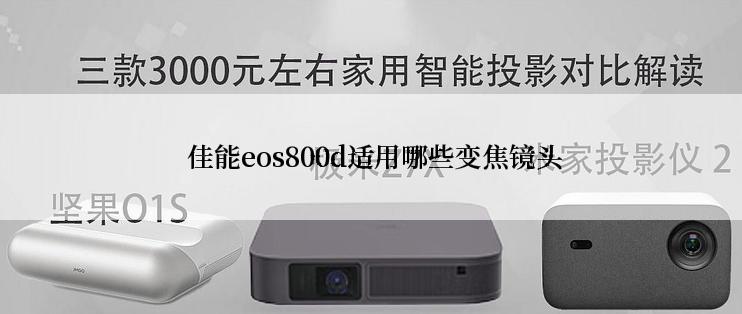  佳能eos800d适用哪些变焦镜头