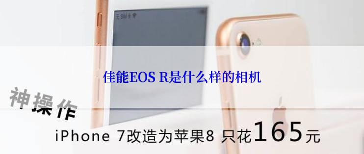 佳能EOS R是什么样的相机