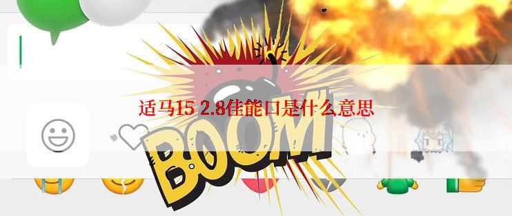 适马15 2.8佳能口是什么意思