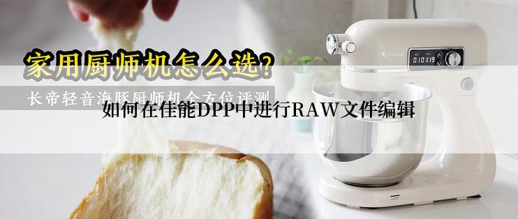 如何在佳能DPP中进行RAW文件编辑