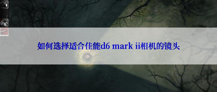 如何选择适合佳能d6 mark ii相机的镜头