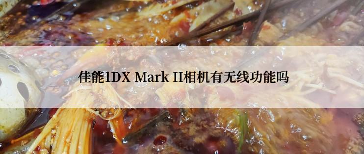  佳能1DX Mark II相机有无线功能吗