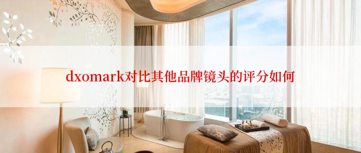 dxomark对比其他品牌镜头的评分如何