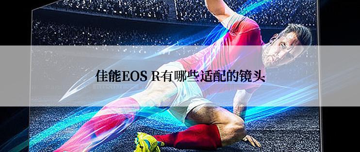 佳能EOS R有哪些适配的镜头