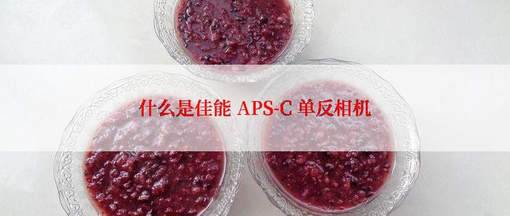 什么是佳能 APS-C 单反相机