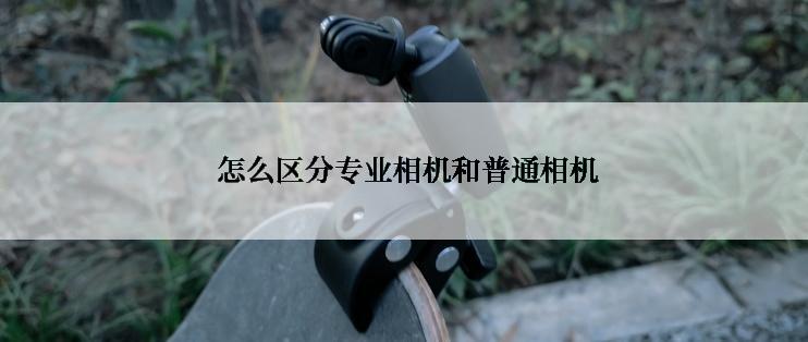  怎么区分专业相机和普通相机