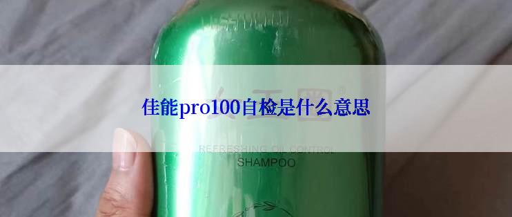 佳能pro100自检是什么意思