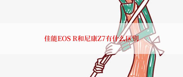 佳能EOS R和尼康Z7有什么区别