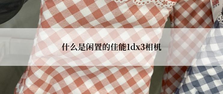 什么是闲置的佳能1dx3相机