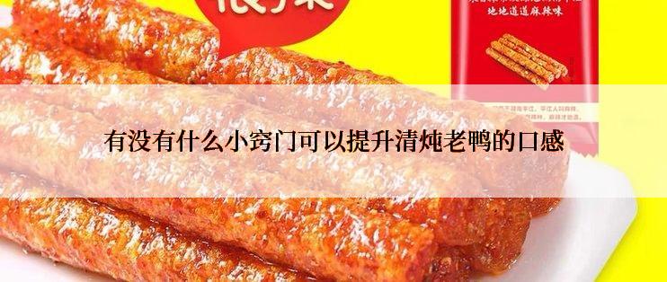 有没有什么小窍门可以提升清炖老鸭的口感