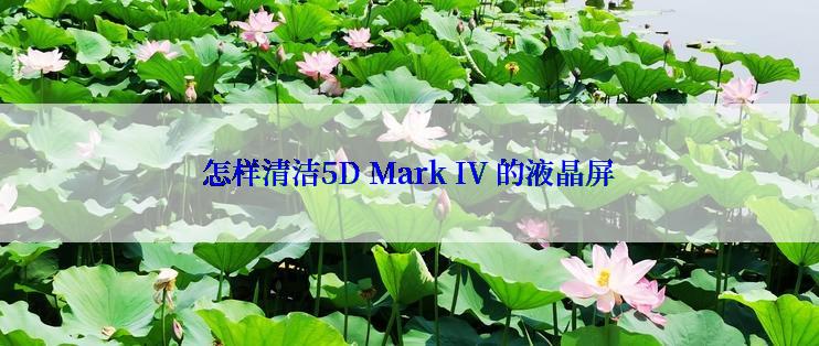 怎样清洁5D Mark IV 的液晶屏