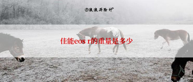 佳能eos r的重量是多少