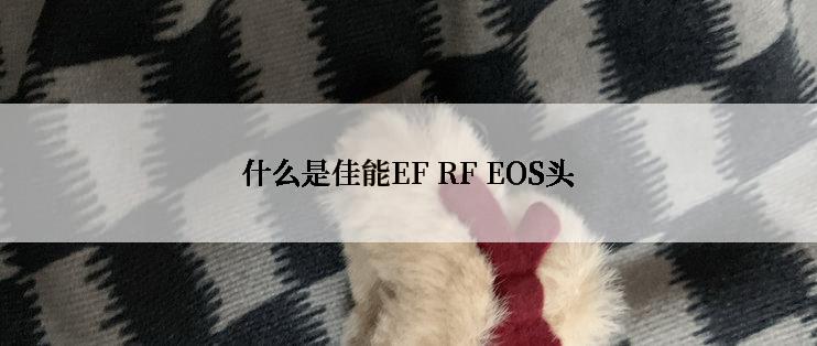 什么是佳能EF RF EOS头