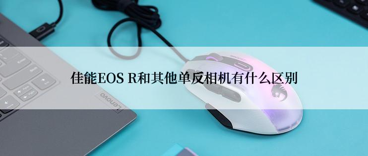 佳能EOS R和其他单反相机有什么区别