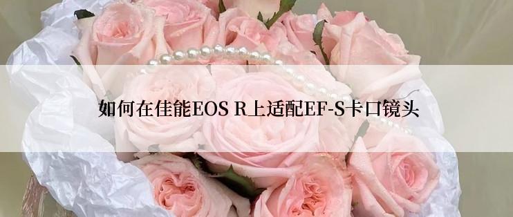  如何在佳能EOS R上适配EF-S卡口镜头