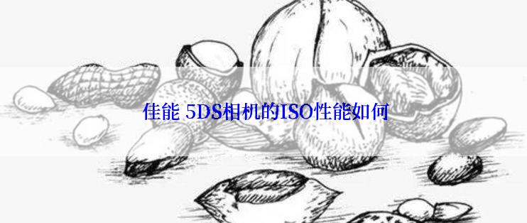  佳能 5DS相机的ISO性能如何