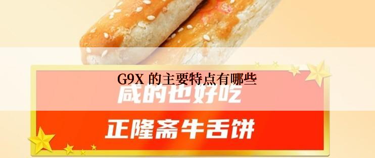 G9X 的主要特点有哪些