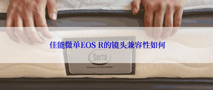  佳能微单EOS R的镜头兼容性如何