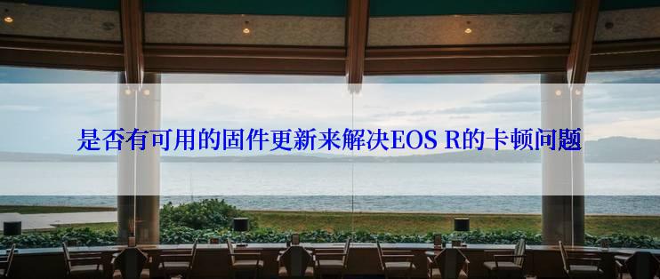 是否有可用的固件更新来解决EOS R的卡顿问题