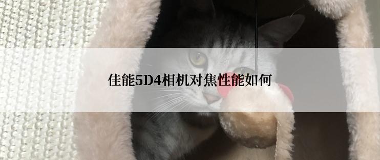 佳能5D4相机对焦性能如何