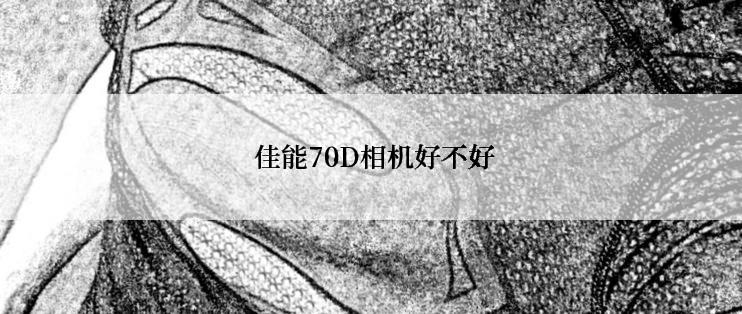  佳能70D相机好不好