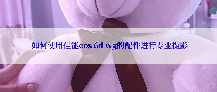  如何使用佳能eos 6d wg的配件进行专业摄影