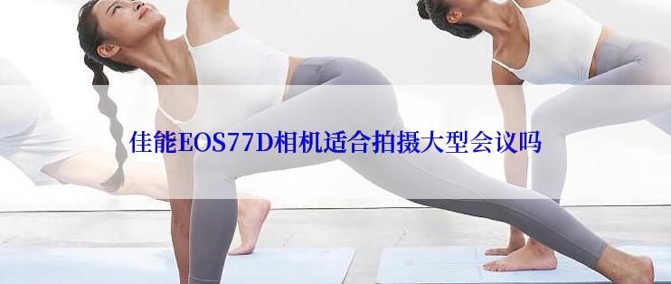 佳能EOS77D相机适合拍摄大型会议吗