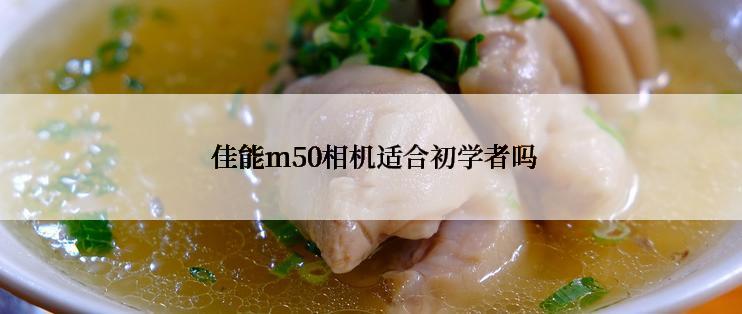  佳能m50相机适合初学者吗