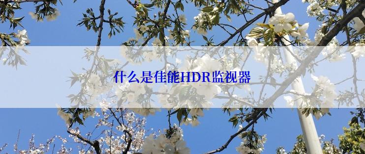 什么是佳能HDR监视器