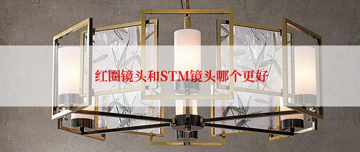  红圈镜头和STM镜头哪个更好