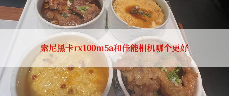 索尼黑卡rx100m5a和佳能相机哪个更好