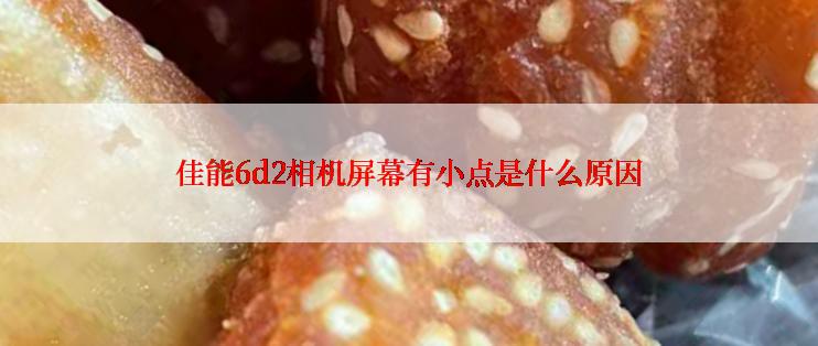 佳能6d2相机屏幕有小点是什么原因