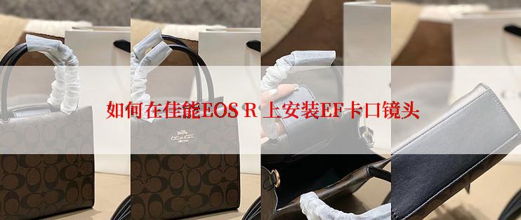  如何在佳能EOS R 上安装EF卡口镜头