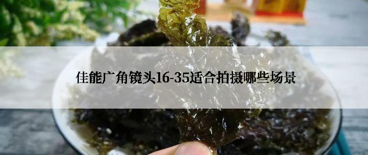  佳能广角镜头16-35适合拍摄哪些场景