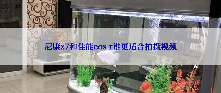 尼康z7和佳能eos r谁更适合拍摄视频