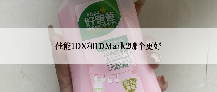 佳能1DX和1DMark2哪个更好