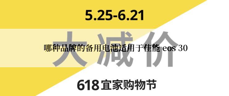  哪种品牌的备用电池适用于佳能 eos 30