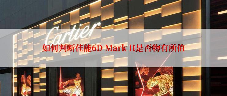 如何判断佳能6D Mark II是否物有所值