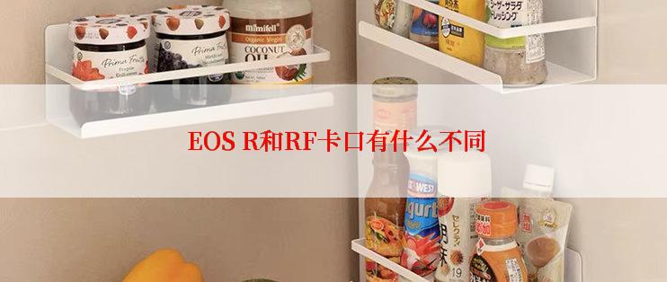  EOS R和RF卡口有什么不同