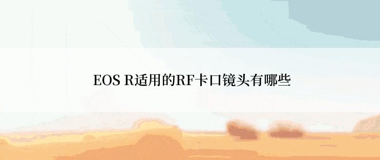  EOS R适用的RF卡口镜头有哪些