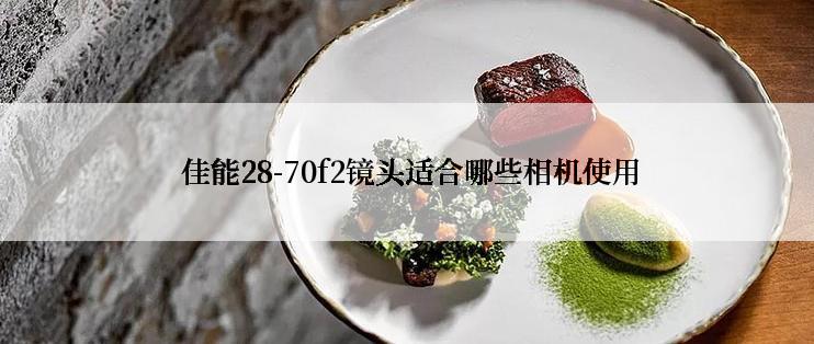  佳能28-70f2镜头适合哪些相机使用