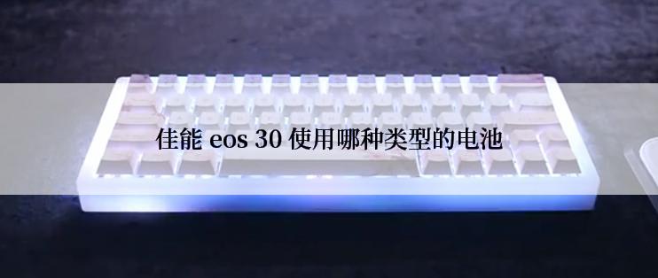 佳能 eos 30 使用哪种类型的电池